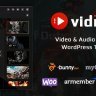 Download  VidMov - Video WordPress Theme By BeeTeam368